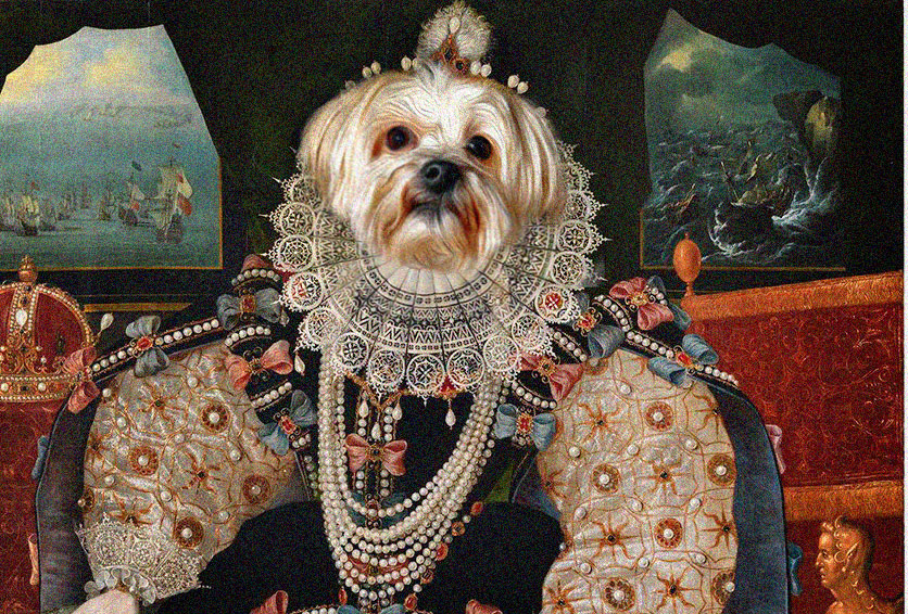 Historical dog