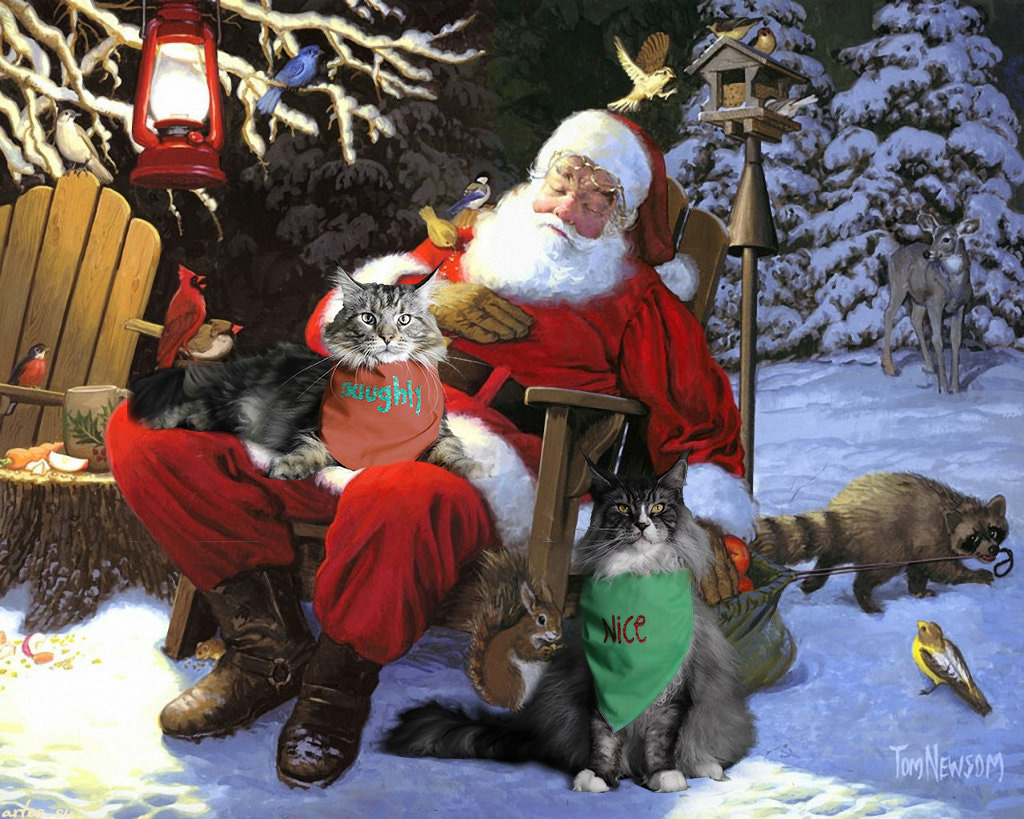 Cat christmas card