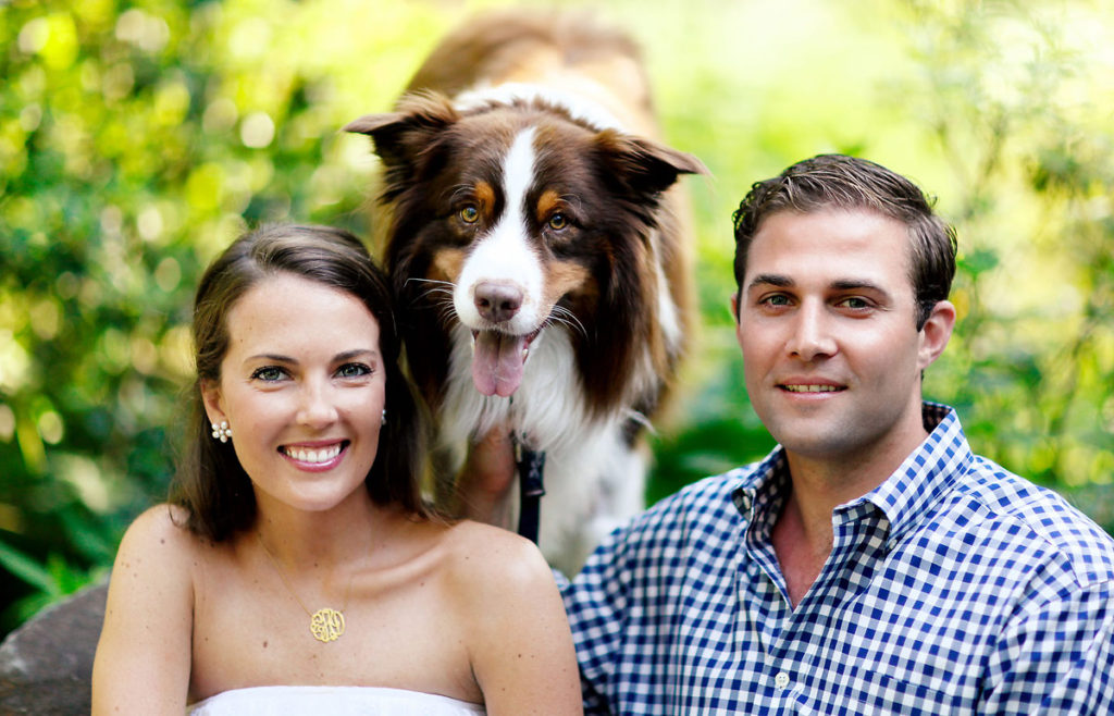 Border Collie family portrait