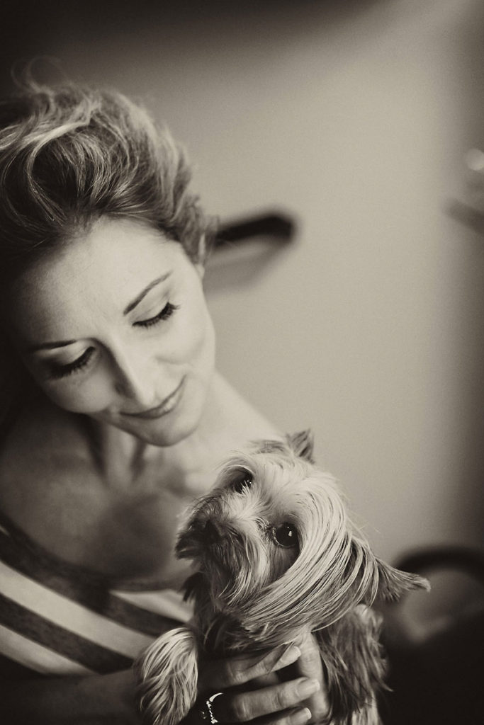 Yorkshire terrier family portrait