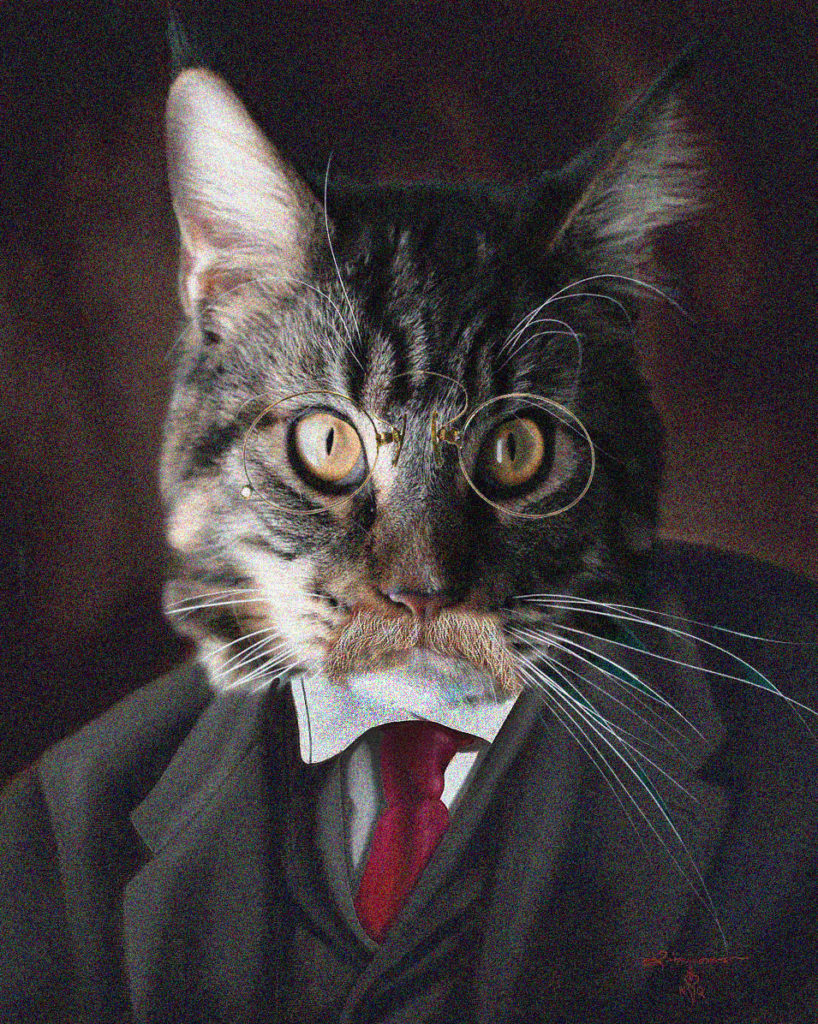 Presidental cat